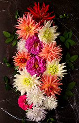 Similar image 21907051