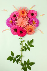 Similar image 21907052