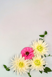 Similar image 21907053