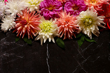 Similar image 21907054