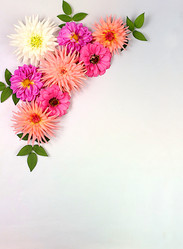 Similar image 21907055