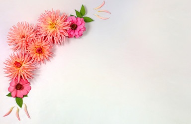 Similar image 21907056