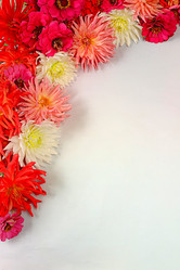 Similar image 21907057