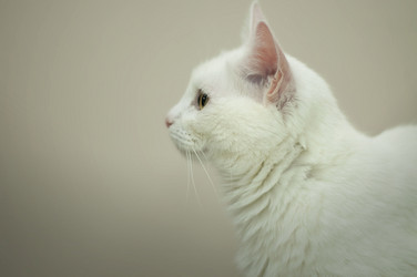 Similar image 21906661