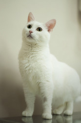 Similar image 21906662