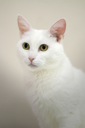 Similar image 21906663