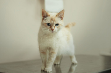 Similar image 21906664