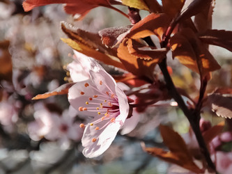 Similar image 21906899