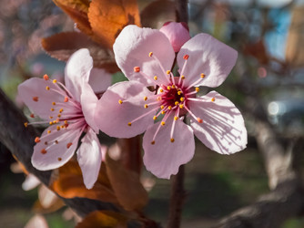 Similar image 21906900