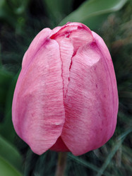 Similar image 21906907