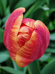 Similar image 21906908