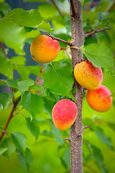 Similar image 21909135