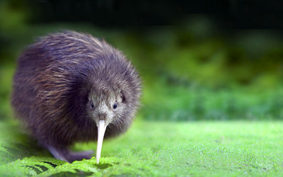 Similar image 21909479