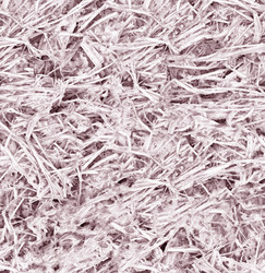 Similar image 21906668