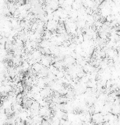 Similar image 21906669