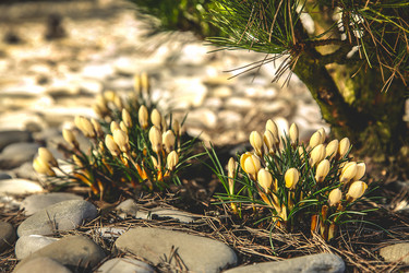 Similar image 21909138