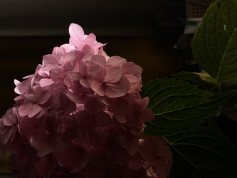 Similar image 21907924