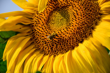 Similar image 21906692