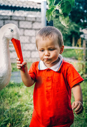 Similar image 21909487