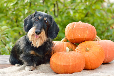 Similar image 21906695