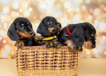 Similar image 21906696