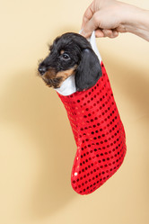 Similar image 21906698