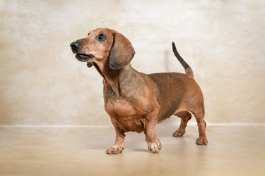 Similar image 21906699