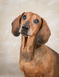 Similar image 21906700