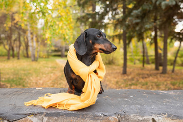 Similar image 21906701