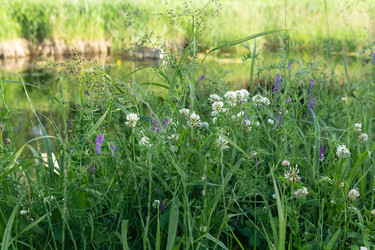 Similar image 21907076