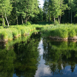 Similar image 21907077