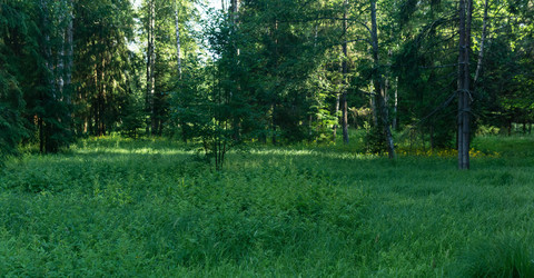 Similar image 21907080