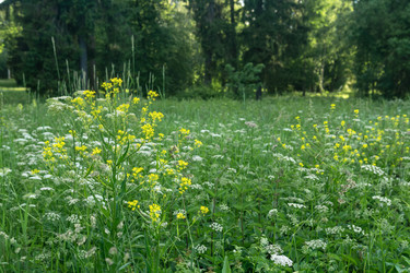 Similar image 21907082