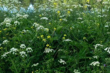 Similar image 21907083