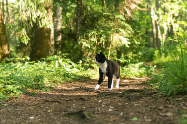 Similar image 21907085