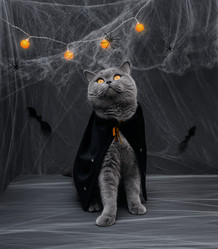 Similar image 21907945