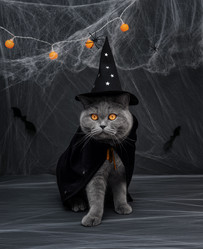 Similar image 21907947