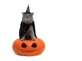 Similar image 21907948