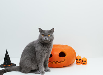 Similar image 21908016