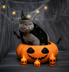 Similar image 21908018