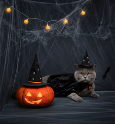 Similar image 21908019