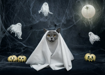 Similar image 21908027