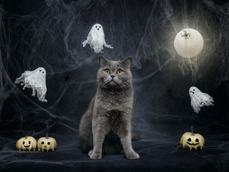 Similar image 21908028