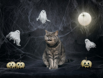 Similar image 21908029