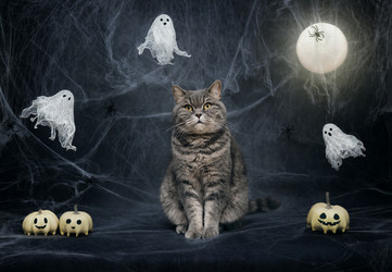 Similar image 21908030