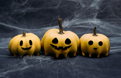 Similar image 21908031