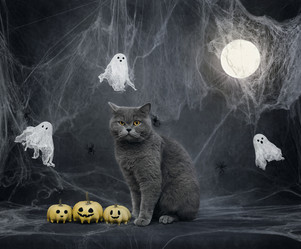 Similar image 21908035