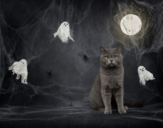 Similar image 21908038