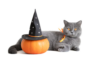 Similar image 21908044