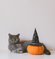 Similar image 21908045